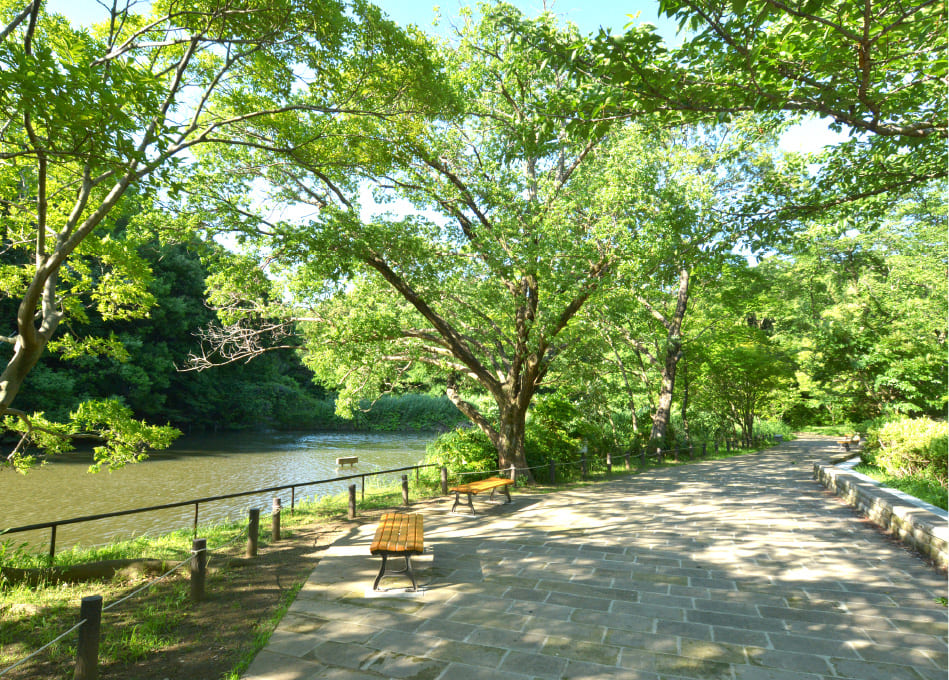 鴨池公園（徒歩10分・約750m〜約776m）