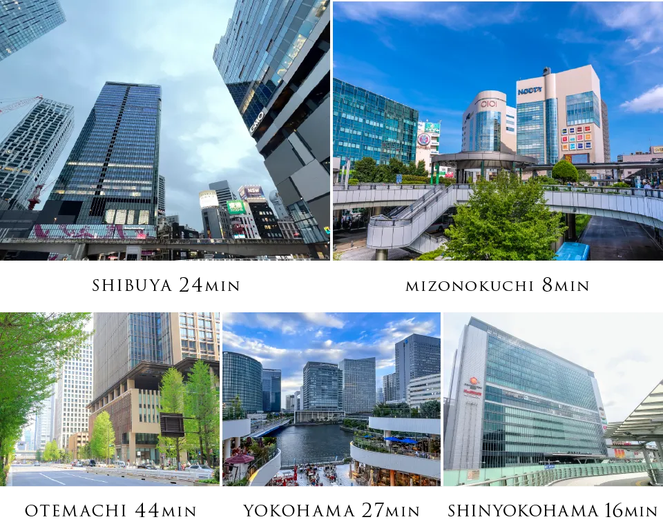 SHIBUYA MIZONOKUCHI OTEMACHI YOKOHAMA SHINYOKOHAMA