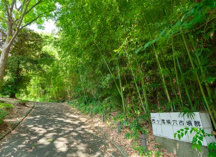 市ケ尾横穴古墳群