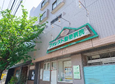 フォレスト動物病院