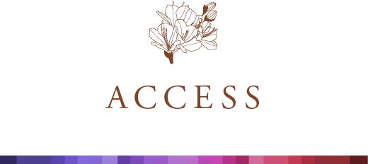 ACCESS