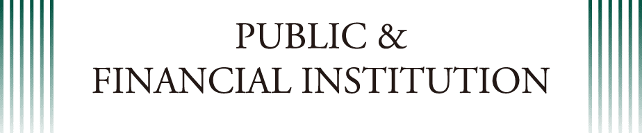 PUBLIC & FINANCIAL INSTITUTION