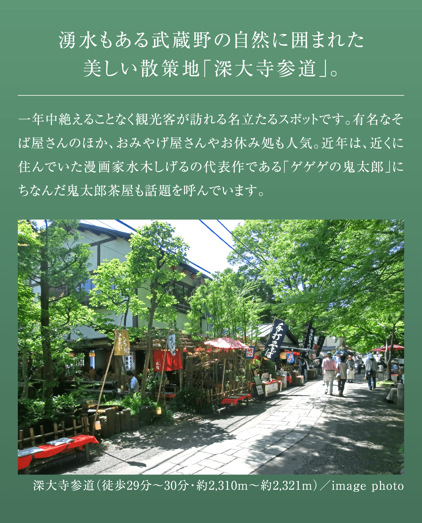 湧水もある武蔵野の自然に囲まれた美しい散策地「深大寺参道」。