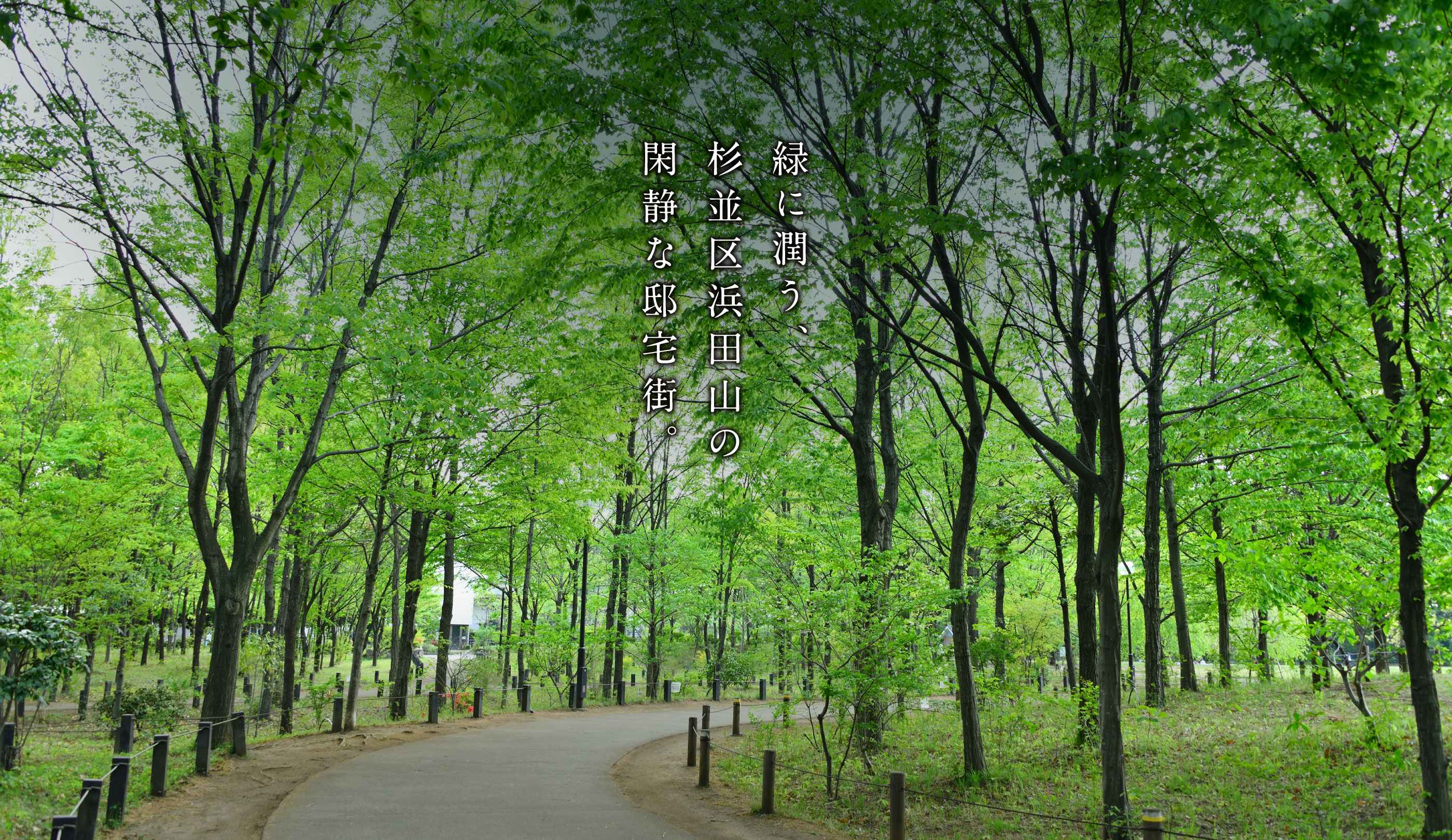 image photo／柏の宮公園（徒歩8分・約620m〜632m）