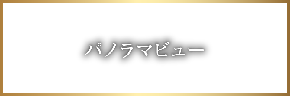 パノラマビュー