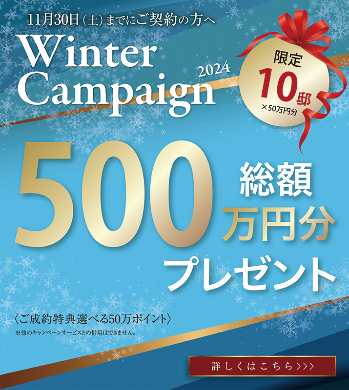 Winter Campaign 2024