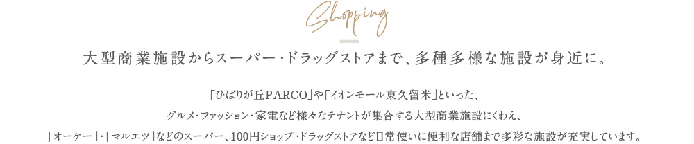 大型商業施設からスーパー・ドラッグストアまで、多種多様な施設が身近に。「ひばりが丘PARCO」や「イオンモール東久留米」といった、グルメ・ファッション・家電など様々なテナントが集合する大型商業施設にくわえ、「オーケー」・「マルエツ」などのスーパー、100円ショップ・ドラッグストアなど日常使いに便利な店舗まで多彩な施設が充実しています。