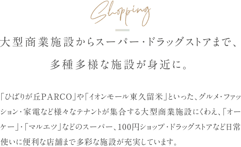 大型商業施設からスーパー・ドラッグストアまで、多種多様な施設が身近に。「ひばりが丘PARCO」や「イオンモール東久留米」といった、グルメ・ファッション・家電など様々なテナントが集合する大型商業施設にくわえ、「オーケー」・「マルエツ」などのスーパー、100円ショップ・ドラッグストアなど日常使いに便利な店舗まで多彩な施設が充実しています。
