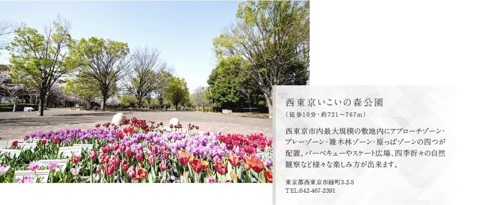 西東京いこいの森公園（徒歩10分・約721〜767m）西東京市内最大規模の敷地内にアプローチゾーン・プレーゾーン・雑木林ゾーン・原っぱゾーンの四つが配置。バーベキューやスケート広場、四季折々の自然観察など様々な楽しみ方が出来ます。