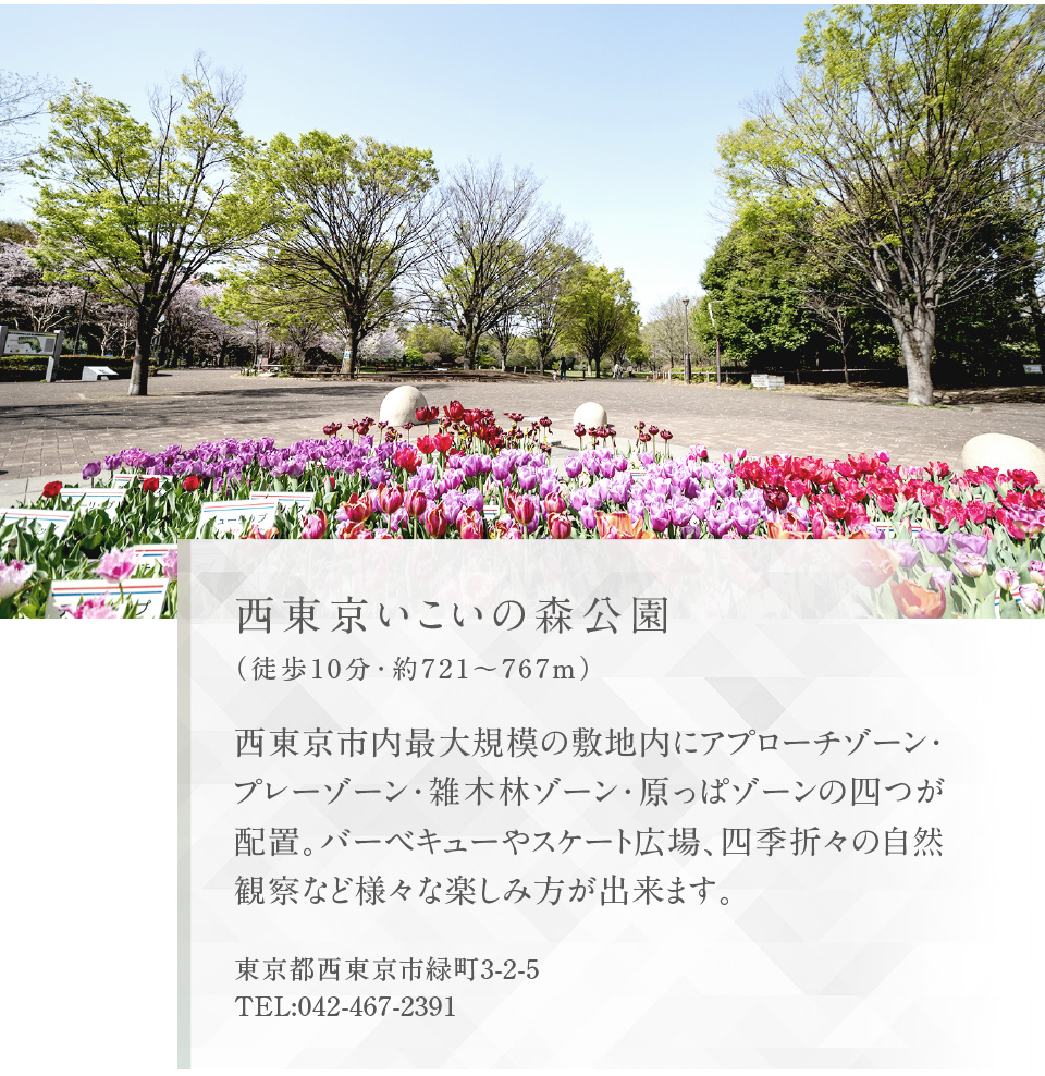 西東京いこいの森公園（徒歩10分・約721〜767m）西東京市内最大規模の敷地内にアプローチゾーン・プレーゾーン・雑木林ゾーン・原っぱゾーンの四つが配置。バーベキューやスケート広場、四季折々の自然観察など様々な楽しみ方が出来ます。