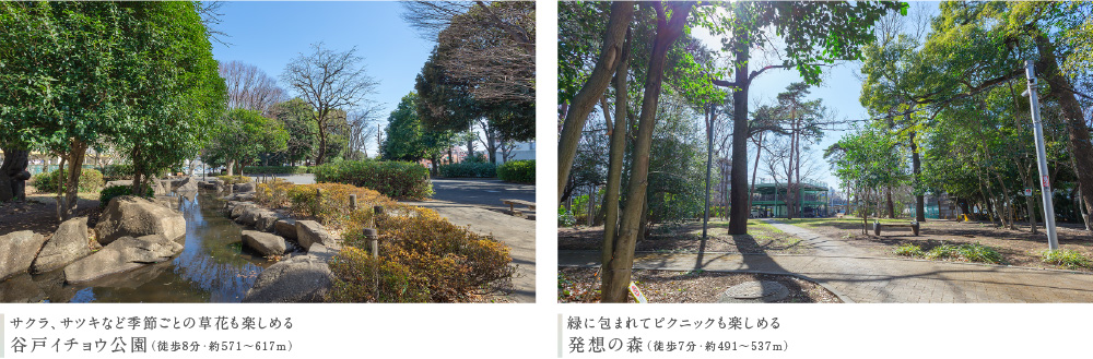 サクラ、サツキなど季節ごとの草花も楽しめる 谷戸イチョウ公園（徒歩8分・約571〜617m）緑に包まれてピクニックも楽しめる 発想の森（徒歩7分・約491〜537m）