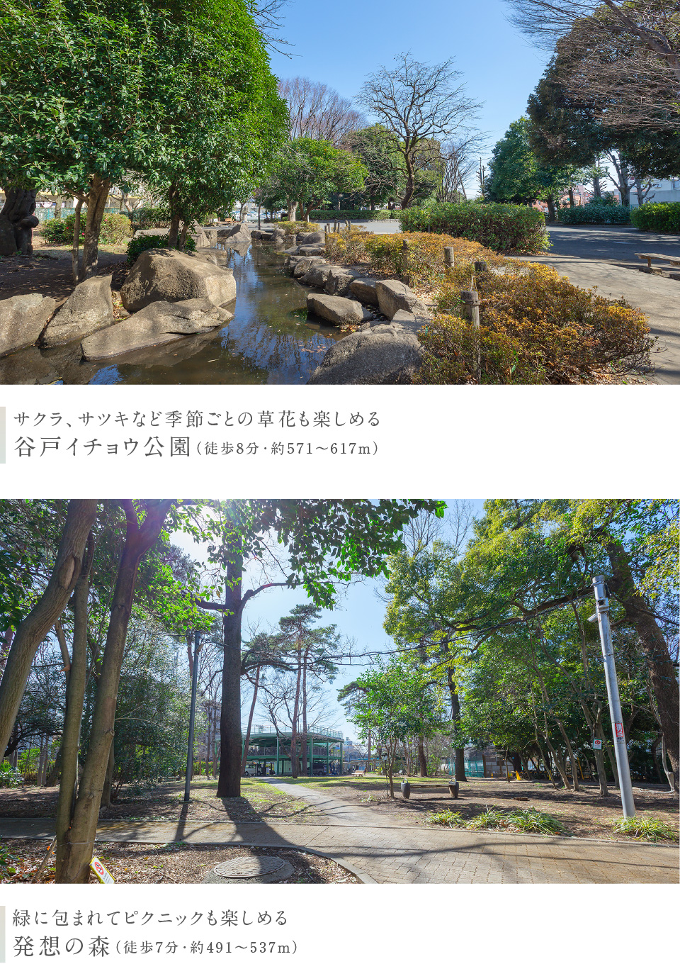 サクラ、サツキなど季節ごとの草花も楽しめる 谷戸イチョウ公園（徒歩8分・約571〜617m）緑に包まれてピクニックも楽しめる 発想の森（徒歩7分・約491〜537m）