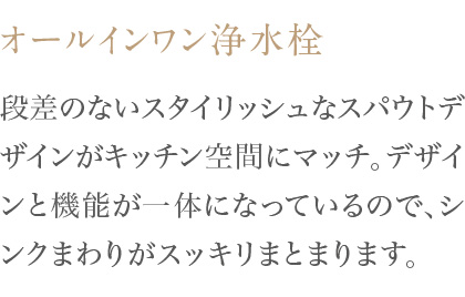 段差のないスタイリッシュなスパウトデザインがキッチン空間にマッチ。デザインと機能が一体になっているので、シンクまわりがスッキリまとまります。