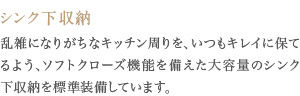 乱雑になりがちなキッチン周りを、いつもキレイに保てるよう、ソフトクローズ機能を備えた大容量のシンク下収納を標準装備しています。