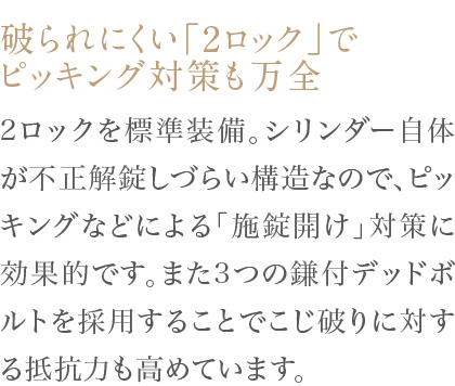 2ロックを標準装備。シリンダー自体が不正解錠しづらい構造なので、ピッキングなどによる「施錠開け」対策に効果的です。また3つの鎌付デッドボルトを採用することでこじ破りに対する抵抗力も高めています。