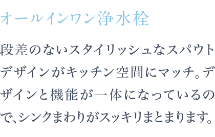 段差のないスタイリッシュなスパウトデザインがキッチン空間にマッチ。デザインと機能が一体になっているので、シンクまわりがスッキリまとまります。