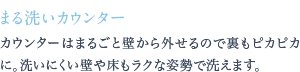 カウンターはまるごと壁から外せるので裏もピカピカに。洗いにくい壁や床もラクな姿勢で洗えます。