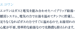 エコワンはガスと電気を組み合わせたハイブリッド給湯・暖房システム。電気の力でお湯を温めてタンクに貯蔵し、足りなくなればガスの力ですぐに温めるので、お湯切れの心配が不要。効率的な給湯なので光熱費も抑えられます。