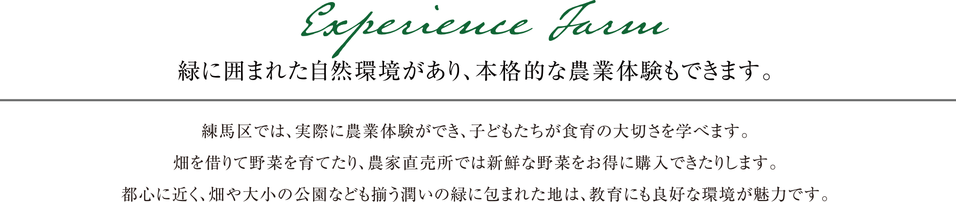 練馬区では、実際に農業体験ができ、子どもたちが食育の大切さを学べます。畑を借りて野菜を育てたり、農家直売所では新鮮な野菜をお得に購入できたりします。都心に近く、畑や大小の公園なども揃う潤いの緑に包まれた地は、教育にも良好な環境が魅力です。