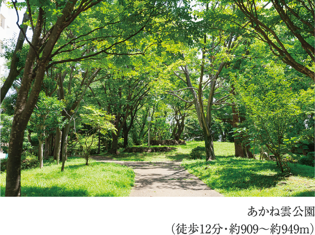 あかね雲公園
                          （徒歩12分・約909〜約949m）