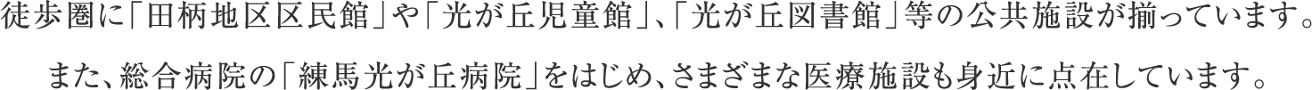 徒歩圏に「田柄地区区民館」や「光が丘児童館」、「光が丘図書館」等の公共施設が揃っています。
                        また、総合病院の「練馬光が丘病院」をはじめ、さまざまな医療施設も身近に点在しています。