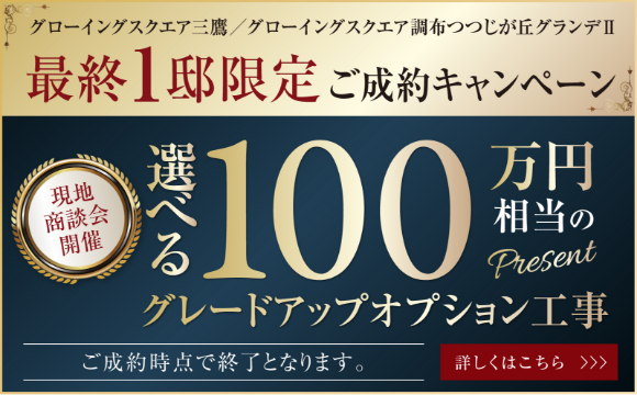 最終1邸物件キャンペーン