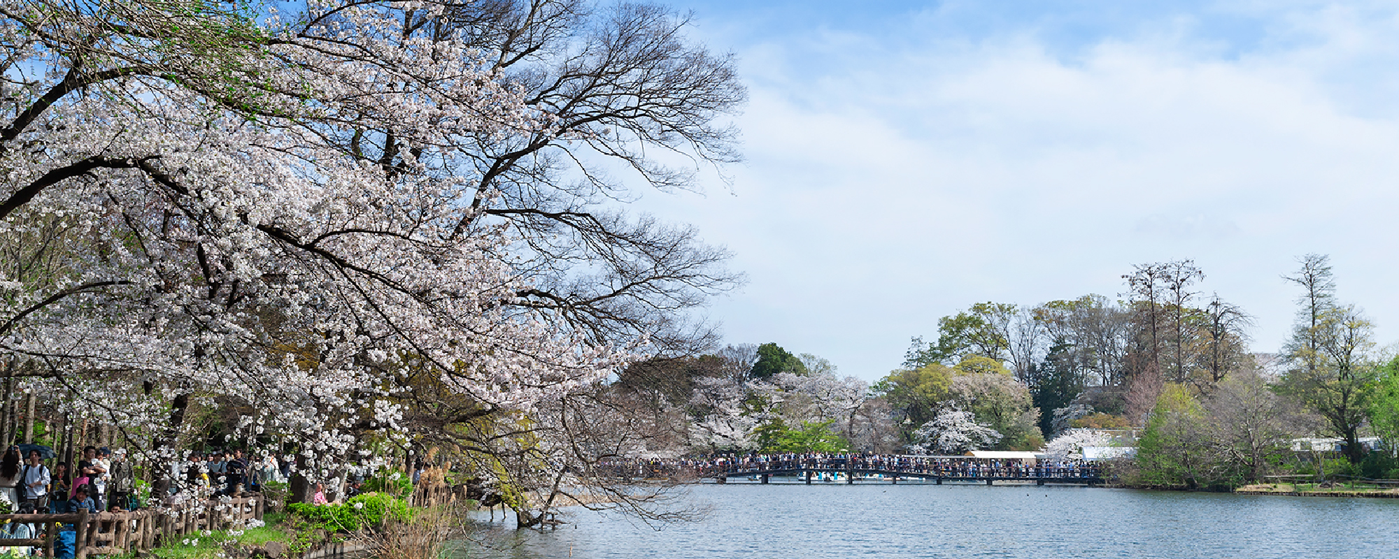 井の頭恩賜公園（徒歩15〜16分／約1,210m〜約1,257ｍ）