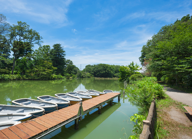 都立善福寺公園（徒歩23分／約1,800m〜約1,836ｍ）