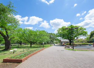 都立武蔵野中央公園（徒歩48分／約3,800m〜約3,816ｍ）