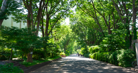 東京学芸大学