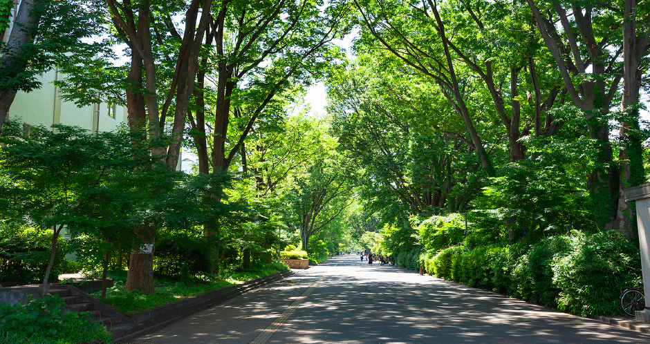 東京学芸大学