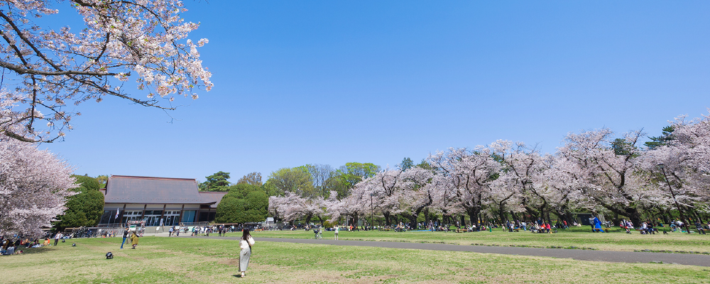 小金井公園