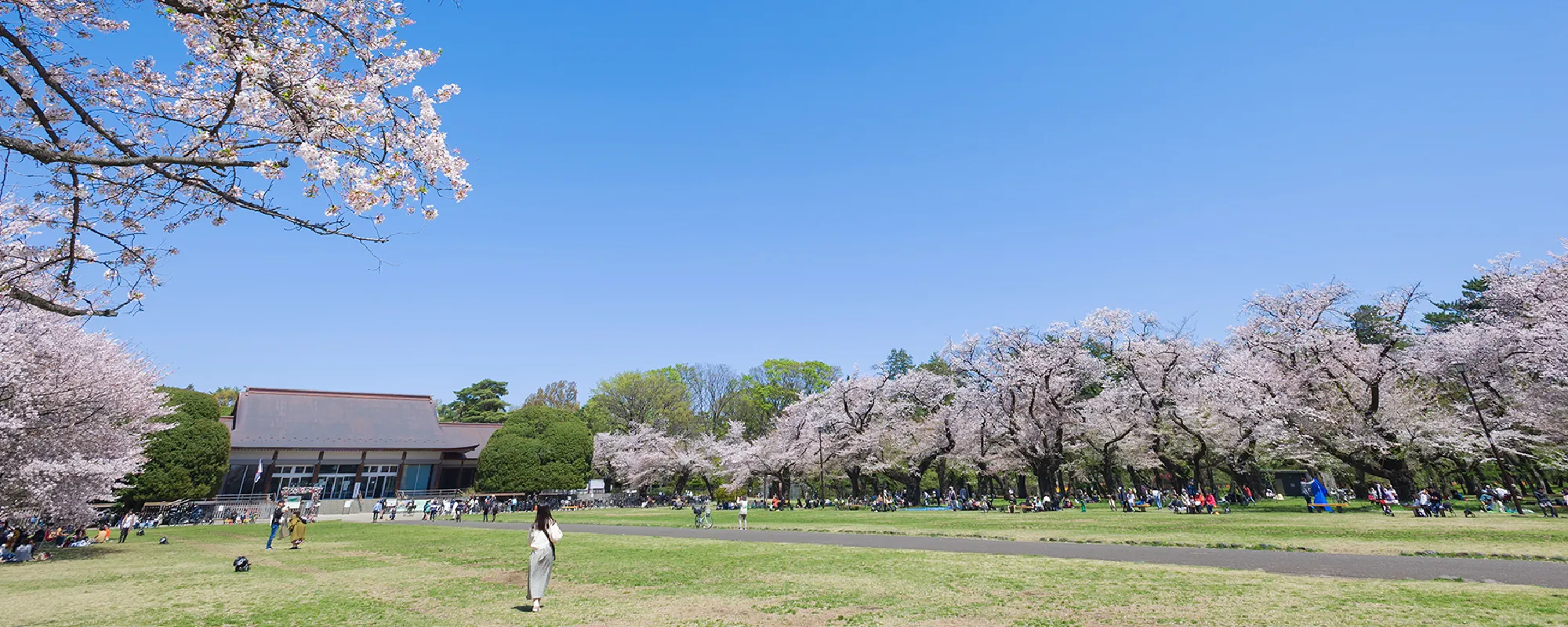 小金井公園