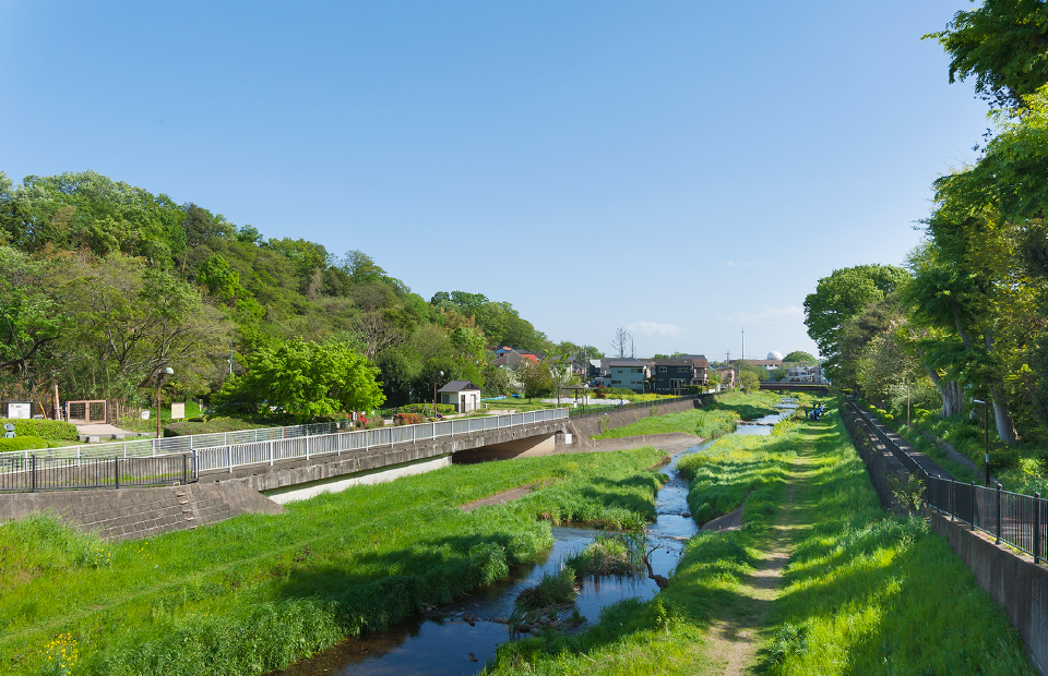 野川沿いの遊歩道