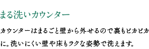 まる洗いカウンター