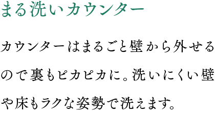 まる洗いカウンター