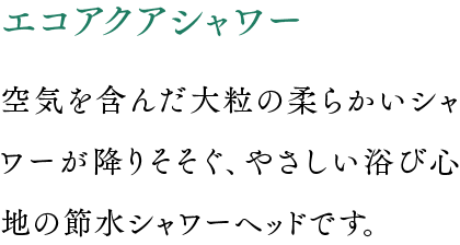 エコアクアシャワー