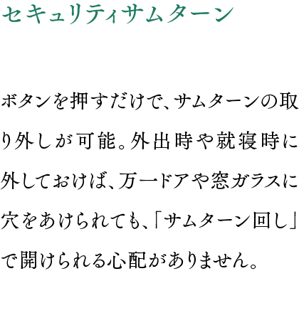 セキュリティサムターン