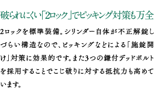 破られにくい「2ロック」でピッキング対策も万全