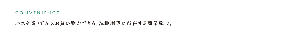 バスを降りてからお買い物ができる、現地周辺に点在する商業施設。