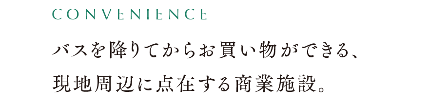 バスを降りてからお買い物ができる、現地周辺に点在する商業施設。