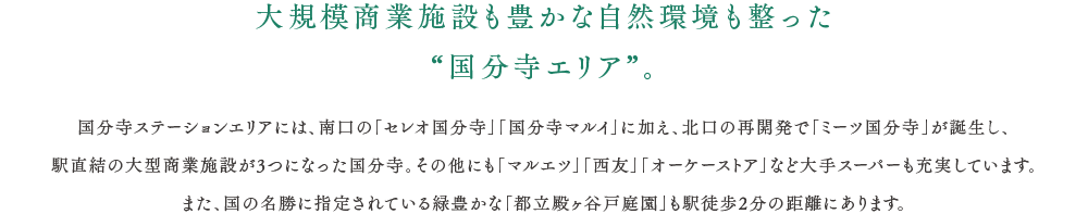 大規模商業施設も豊かな自然環境も整った“国分寺エリア”。