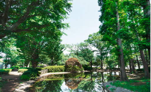 つつじ公園