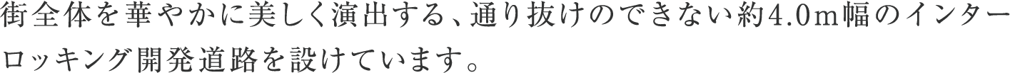 街全体を華やかに美しく演出する、通り抜けのできない約4.0m幅のインターロッキング開発道路を設けています。