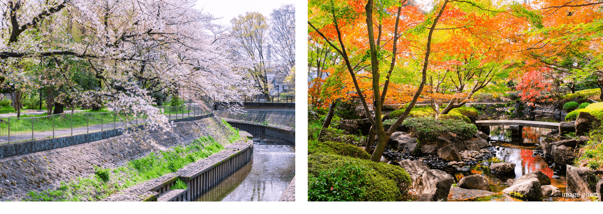 善福寺川緑地/大田黒公園