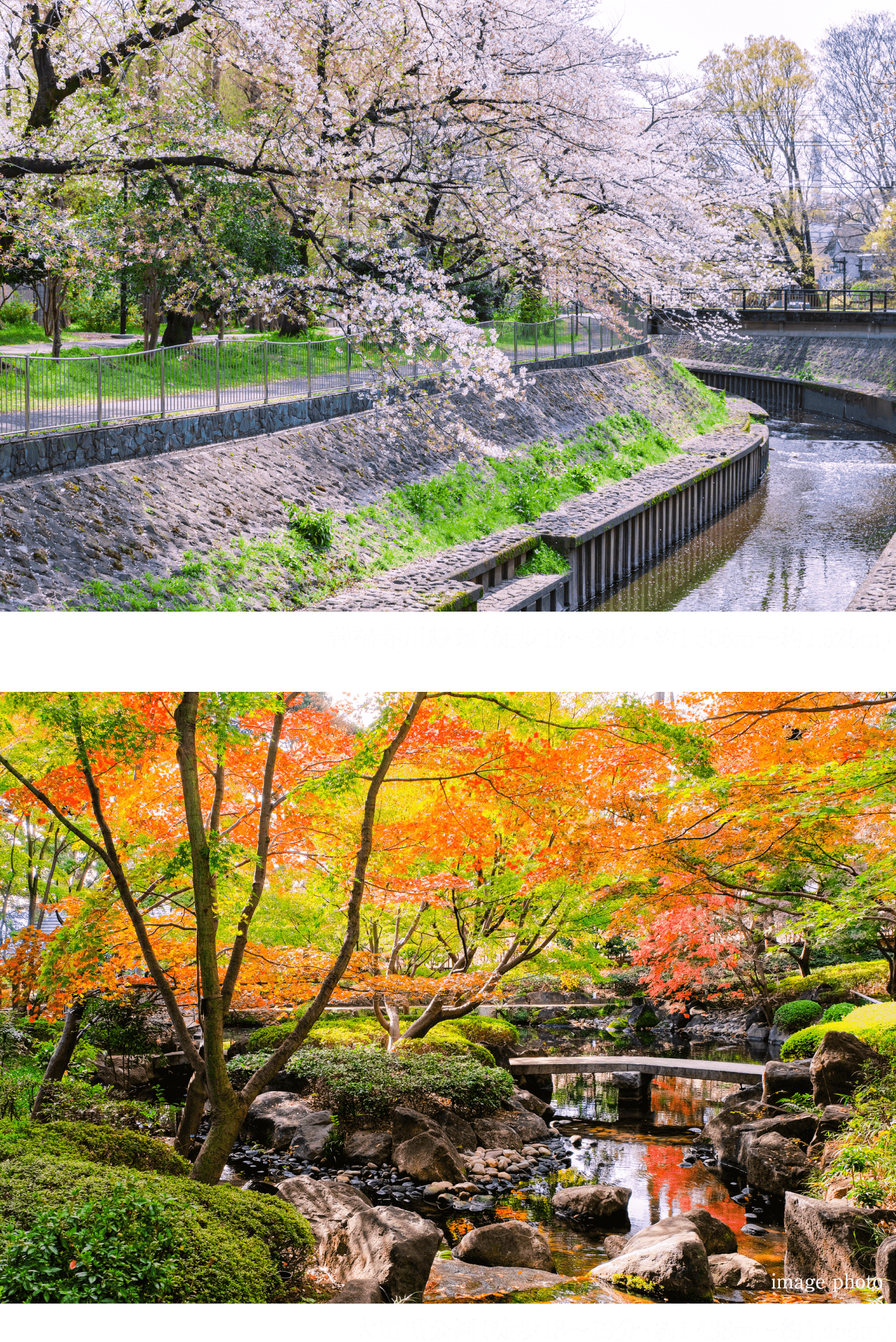 善福寺川緑地/大田黒公園