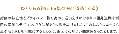 ゆとりある約5.0m幅の開発道路（公道）