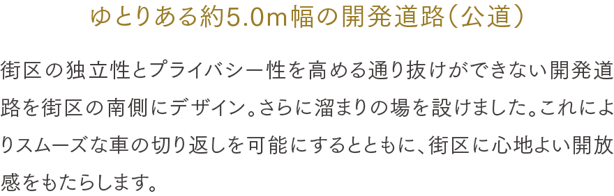 ゆとりある約5.0m幅の開発道路（公道）