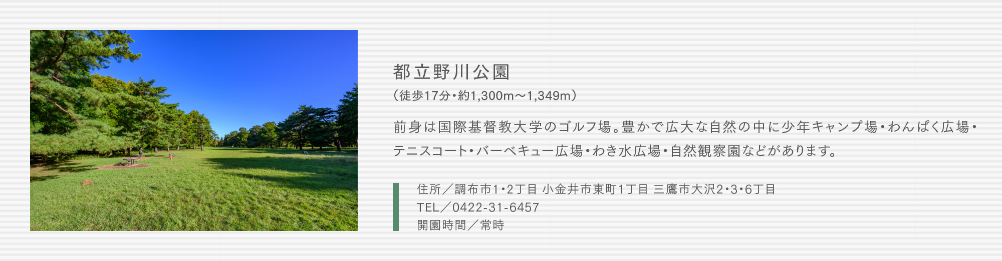 都立野川公園（徒歩17分・約1,300m〜1,349m）前身は国際基督教大学のゴルフ場。豊かで広大な自然の中に少年キャンプ場・わんぱく広場・テニスコート・バーベキュー広場・わき水広場・自然観察園などがあります。