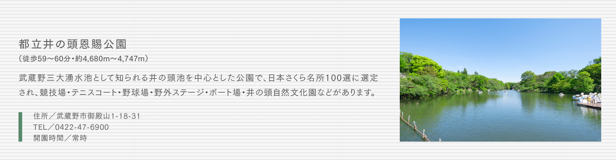 都立井の頭恩賜公園（徒歩59〜60分・約4,680m〜4,747m）武蔵野三大湧水池として知られる井の頭池を中心とした公園で、日本さくら名所100選に選定され、競技場・テニスコート・野球場・野外ステージ・ボート場・井の頭自然文化園などがあります。